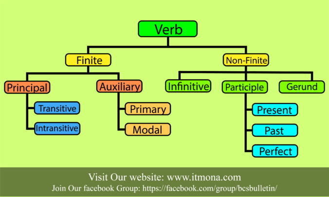 Classification of verb